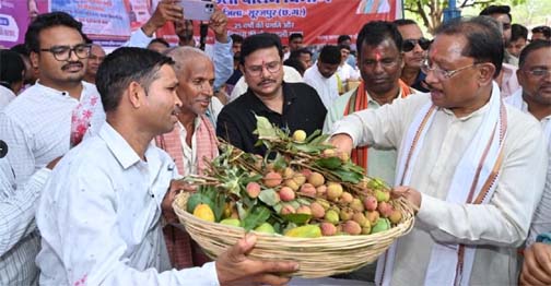 ग्राम कुशहा की चौपाल में मुख्यमंत्री विष्णु देव साय ने सुनी ग्रामीणों की समस्याएं ग्राम कुशहा की चौपाल में मुख्यमंत्री विष्णु देव साय ने सुनी ग्रामीणों की समस्याएं