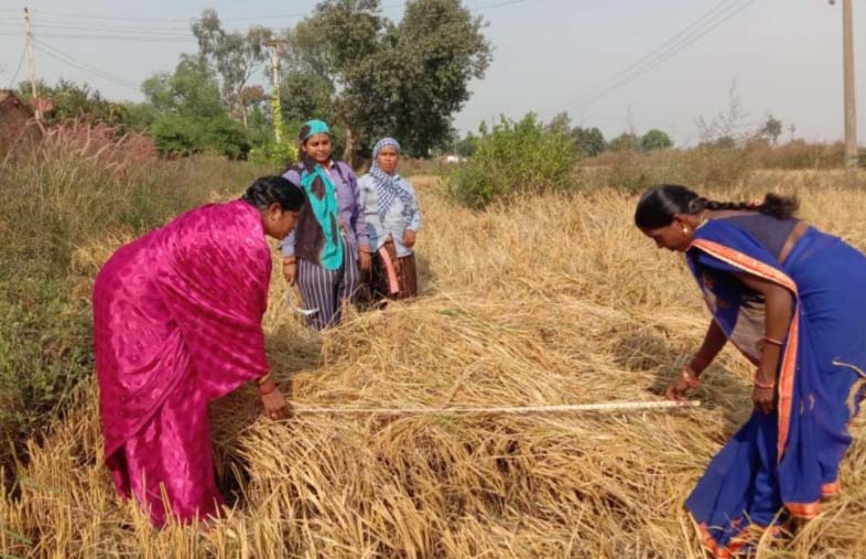 बिहान से जुड़कर आत्मनिर्भर बनीं हुलेसिया वर्मा, बनीं “लखपति दीदी” बिहान से जुड़कर आत्मनिर्भर बनीं हुलेसिया वर्मा, बनीं “लखपति दीदी”