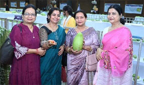 आमों की सुगंध और स्वाद से सराबोर हुआ रायपुर आमों की सुगंध और स्वाद से सराबोर हुआ रायपुर