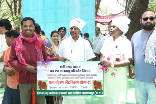 अबूझमाड़ की महिलाओं को मिली आर्थिक मजबूती अबूझमाड़ की महिलाओं को मिली आर्थिक मजबूती