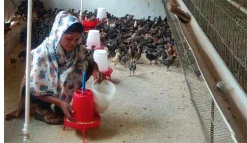 सफलता की नई उड़ान : पारंपरिक मजबूरी से 'लखपति दीदी' बनने तक का सफर सफलता की नई उड़ान : पारंपरिक मजबूरी से 'लखपति दीदी' बनने तक का सफर