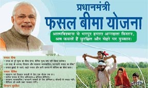 प्रधानमंत्री फसल बीमा योजना : खरीफ फसलों का बीमा 31 जुलाई तक प्रधानमंत्री फसल बीमा योजना : खरीफ फसलों का बीमा 31 जुलाई तक