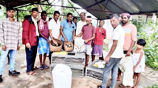 तोंगपाल क्षेत्र के 50 ग्रामीण परिवारों को मिला स्वरोजगार का सहारा तोंगपाल क्षेत्र के 50 ग्रामीण परिवारों को मिला स्वरोजगार का सहारा