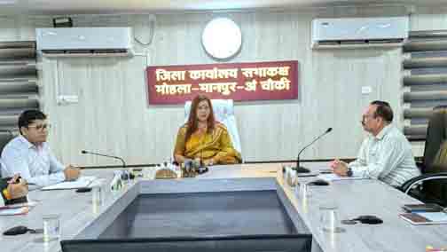 प्राकृतिक खेती को बढ़ावा देने किसानों को करें प्रोत्साहित - कलेक्टर प्राकृतिक खेती को बढ़ावा देने किसानों को करें प्रोत्साहित - कलेक्टर