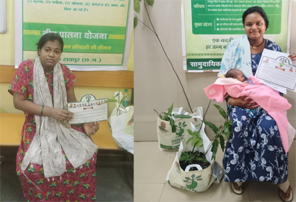 प्रोजेक्ट ग्रीन पालना : पर्यावरण संरक्षण का संदेश, प्रसूता माताओं को हरियाली की भेंट प्रोजेक्ट ग्रीन पालना : पर्यावरण संरक्षण का संदेश, प्रसूता माताओं को हरियाली की भेंट