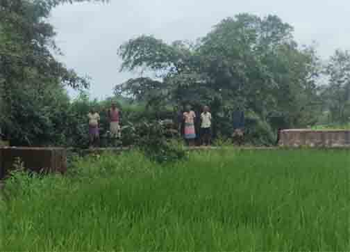 सेवा की कहानी : स्टॉपडेम से खुशहाल हुए आदिवासी परिवार सेवा की कहानी : स्टॉपडेम से खुशहाल हुए आदिवासी परिवार