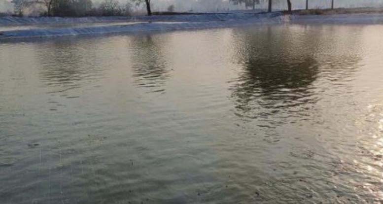 प्रधानमंत्री मत्स्य संपदा योजना से मत्स्य पालन को मिला रहा बढ़ावा प्रधानमंत्री मत्स्य संपदा योजना से मत्स्य पालन को मिला रहा बढ़ावा