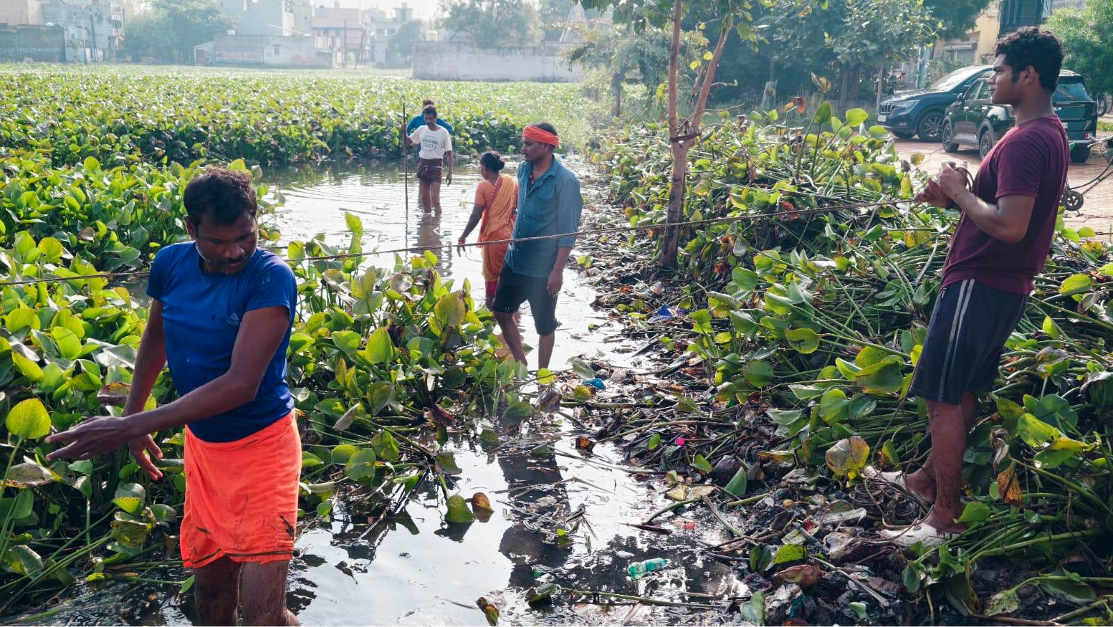 मछुवा संघ के सहयोग से जलकुंभी हटाने के साथ तालाबों की व्यापक साफ-सफाई, जलस्रोतों के संरक्षण पर जोर मछुवा संघ के सहयोग से जलकुंभी हटाने के साथ तालाबों की व्यापक साफ-सफाई, जलस्रोतों के संरक्षण पर जोर