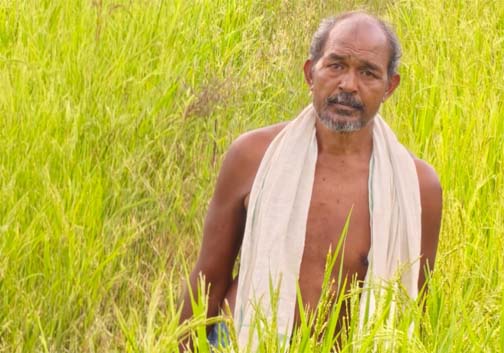 कृषक उन्नति योजना से शंकर प्रसाद की खेती को मिलेगा आर्थिक संबल, तीन एकड़ में सुगंधित धान की खेती पर मिलेंगे 45 हजार रुपये कृषक उन्नति योजना से शंकर प्रसाद की खेती को मिलेगा आर्थिक संबल, तीन एकड़ में सुगंधित धान की खेती पर मिलेंगे 45 हजार रुपये