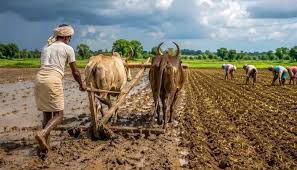 मिट्टी की सेहत सँवारने गांव-गांव पहुंचेगा ‘खेत बचाओ अभियान’ मिट्टी की सेहत सँवारने गांव-गांव पहुंचेगा ‘खेत बचाओ अभियान’