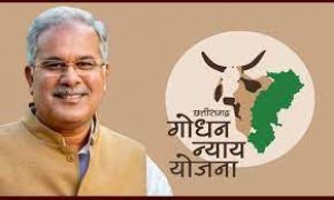  मुख्यमंत्री भूपेश बघेल 21 मई को गोधन न्याय योजना के हितग्राहियों को जारी करेंगे 13.57 करोड़ रूपए 