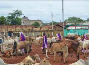 समृद्धि और खुशहाली का आधार बन रहे गौठान