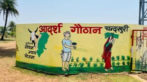    दुर्ग जिले के गौठानों में संचालित हो रही है विभिन्न आर्थिक गतिविधियां