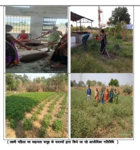 गौठान से जुड़कर महिलाओं के समूह ने 9 लाख 19 हजार 882 रूपये का आय अर्जित किया