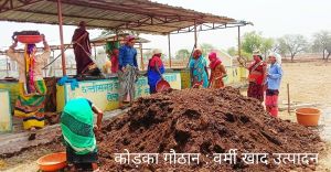 गौठानों से समृद्ध हो रही ग्रामीण अर्थव्यवस्था  : ’गौठान मे जैविक खाद, सामुदायिक बाड़ी, मिनी राईस मिल से महिलाएं हो रही है सशक्त