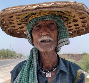 गोधन न्याय योजना से गोबर हुआ अनमोल, मिल रहा गोबर का मोल
