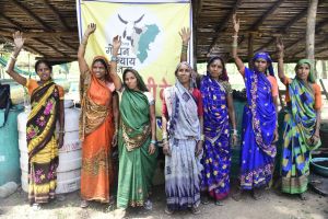  किसानों को मिली रासायनिक कीटनाशक से मुक्ति, गौमूत्र कीटनाशक बना  बेहतर विकल्प