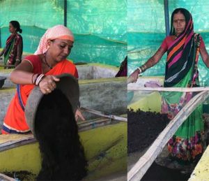  गौठान से महिलाओं की जिंदगी में आई खुशी , किसी ने खरीदे जेवर तो किसी ने मोबाईल फोन