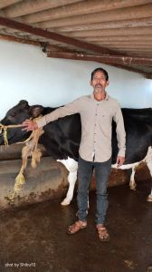 गोबर बना दुर्गा प्रसाद के लिए आमदनी का बेहतर जरिया