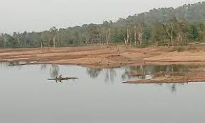 चांपी जलाशय के जल के स्तर को कम करने के संबंध में विभाग का प्रतिवेदन