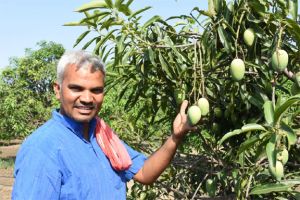  शासन की किसान हितैषी योजनाएं बेहतरीन - प्रगतिशील किसान  ऐनेश्वर वर्मा