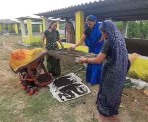 महिलाएं अच्छी आमदनी अर्जित कर घरेलू कार्य में दे रही योगदान 