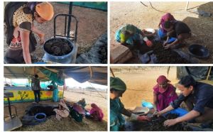 खैरागढ़ विकासखंड के घोठिया ग्राम की महिलाएं खुद बना रही हैं आर्थिक सशक्तीकरण की राह खैरागढ़ विकासखंड के घोठिया ग्राम की महिलाएं खुद बना रही हैं आर्थिक सशक्तीकरण की राह