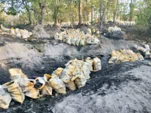 लापरवाही और निष्क्रियता बरतने पर उपवन क्षेत्रपाल और वनपाल बीट प्रभारी निलंबित लापरवाही और निष्क्रियता बरतने पर उपवन क्षेत्रपाल और वनपाल बीट प्रभारी निलंबित