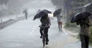 जिले में अब तक 171.8 मि.मी. औसत वर्षा दर्ज