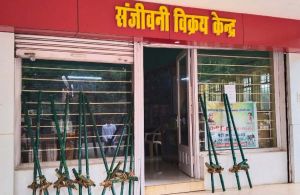 हरेली तिहार के लिए सी मार्ट में गेड़ी बिक्री के लिए उपलब्ध