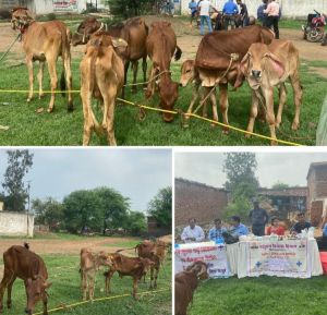 रायपुर जिले में चलाया जा रहा रोेका-छेका अभियान