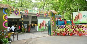  सीएम हाउस में होवत हे हरेली तिहार के जोरदार तैयारी