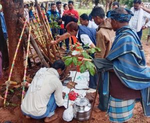 छत्तीसगढ़िया ओलंपिक का शुभारंभ विधायक चंदन कश्यप ने किया
