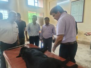 संभागायुक्त एवं कुलपति श्री कावरे ने पशु चिकित्सालय पदमनाभपुर दुर्ग में दी दबिश 