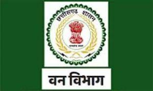  प्रदेश में दूर हुई वनरक्षकों की वेतन विसंगति, कैबिनेट के निर्णय पर त्वरित अमल