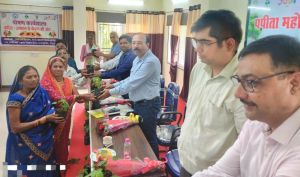  रायपुर बनेगा पपीता उत्पादक जिला