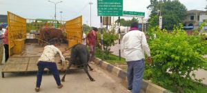  भिलाई निगम क्षेत्र में चलाया जा रहा है रोका छेका अभियान
