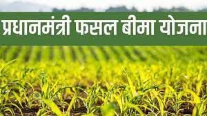 खरीफ वर्ष 2023 के लिए प्रधानमंत्री फसल बीमा की अंतिम तिथि बढ़कर अब 16 अगस्त तक