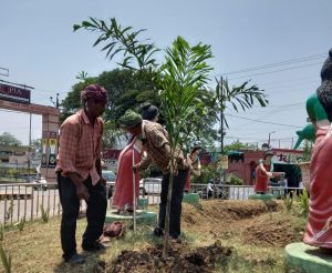  पौधारोपण अभियान, 58 दिनों में पांच हज़ार तीन सौ से ज्यादा पौधे लगाए गए