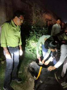 रेडियम बेल्ट एवं ईयर टैगिंग कार्य के लिए अधिकारियों को सौंपी गई जिम्मेदारी