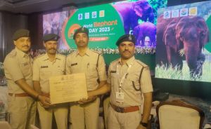  गज गौरव राष्ट्रीय पुरस्कार से सम्मानित हुए  वनरक्षक दीपक शर्मा एवं गजयात्रा टीम
