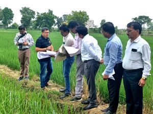 गिरदावरी करने खेत में उतरे कलेक्टर संजीव झा 