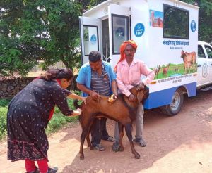 राज्य में मोबाइल पशु चिकित्सा यूनिट के जरिए पशुधन के इलाज की घर पहुंच सेवा