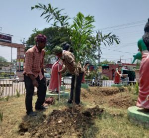  शहर को ग्रीन जोन बनाने दुर्ग से कुम्हारी तक लगाए गए बोगनविलिया, कनेर और चम्पा