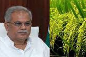 मुख्यमंत्री श्री बघेल ने प्रदेशवासियों को नुआखाई पर्व की दी बधाई और शुभकामनाएं मुख्यमंत्री श्री बघेल ने प्रदेशवासियों को नुआखाई पर्व की दी बधाई और शुभकामनाएं