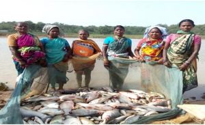 पतरापाली के चमेली स्व सहायता समूह के लिए मछली पालन बना सामुहिक आजीविका का स्त्रोत पतरापाली के चमेली स्व सहायता समूह के लिए मछली पालन बना सामुहिक आजीविका का स्त्रोत