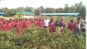 आवर्ती चराई योजना से आर्थिक समृद्धि की राह हुई प्रशस्त आवर्ती चराई योजना से आर्थिक समृद्धि की राह हुई प्रशस्त