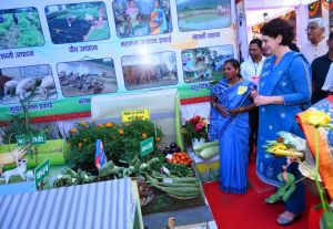 नगरीय निकाय एवं पंचायती राज महासम्मेलन: मुख्यमंत्री श्री बघेल और श्रीमती गांधी ने विभागीय स्टॉलों का किया अवलोकन नगरीय निकाय एवं पंचायती राज महासम्मेलन: मुख्यमंत्री श्री बघेल और श्रीमती गांधी ने विभागीय स्टॉलों का किया अवलोकन