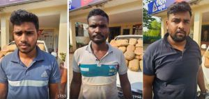 कार में 14 लाख रुपये कीमत का 91 किलो गांजा लाते ओडि़शा के 3 आरोपी गिरफ्तार कार में 14 लाख रुपये कीमत का 91 किलो गांजा लाते ओडि़शा के 3 आरोपी गिरफ्तार