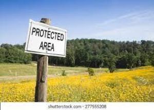 जामुल सीमेंट वर्क्स संरक्षित क्षेत्र घोषित